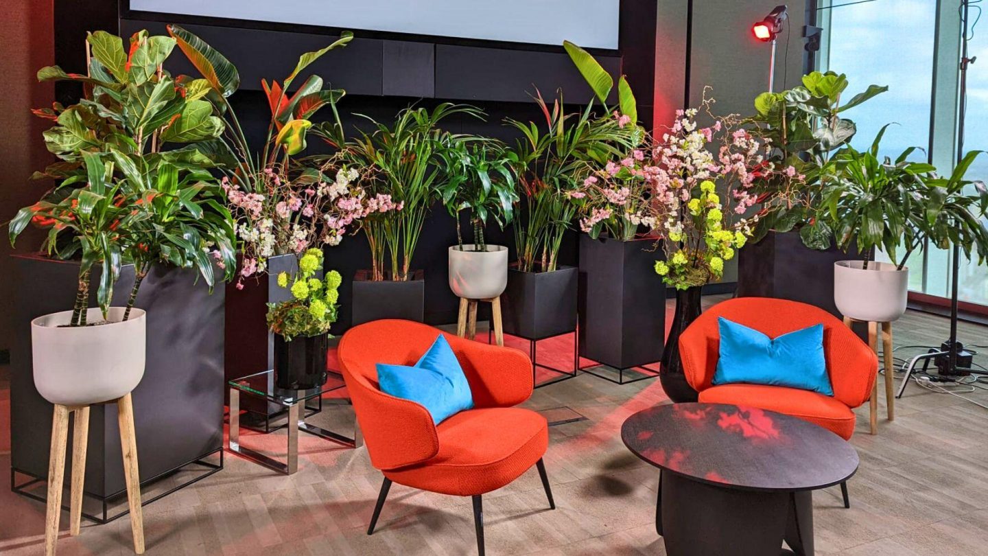 Orange chairs set up in a recording studio with a backdrop of many tall leafy plants