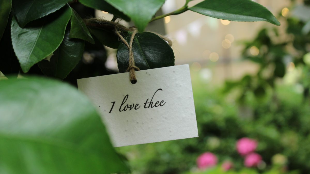 i love thee note in a tree