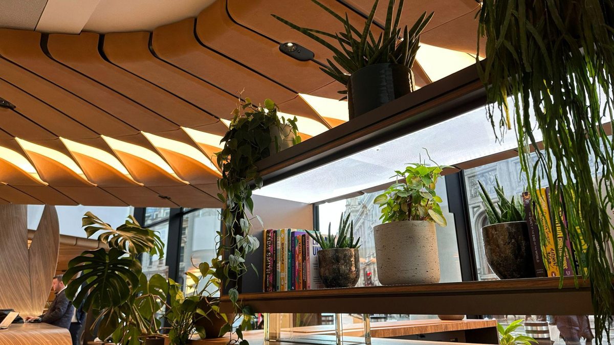 Wooden bookcase with many plants